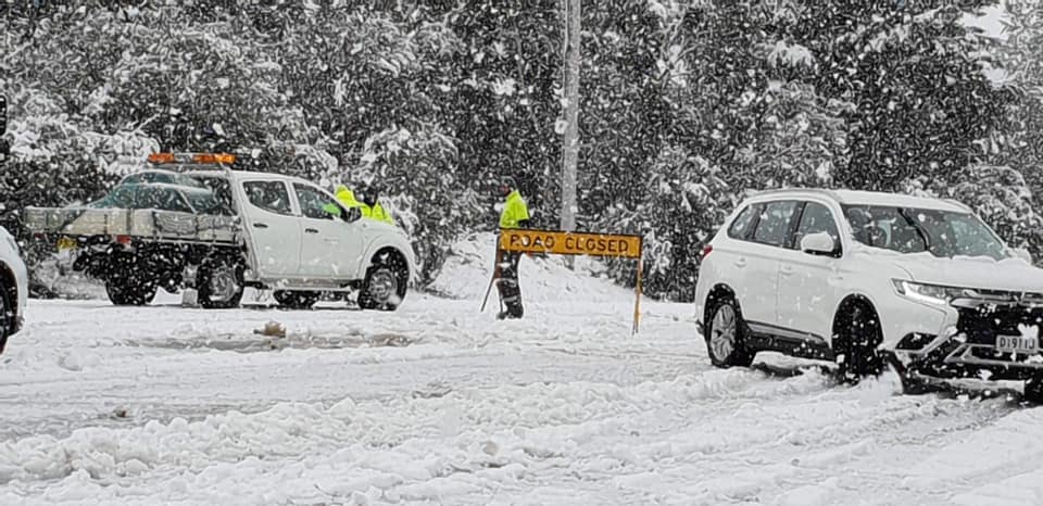 SNOWSEARCH australia tweet media