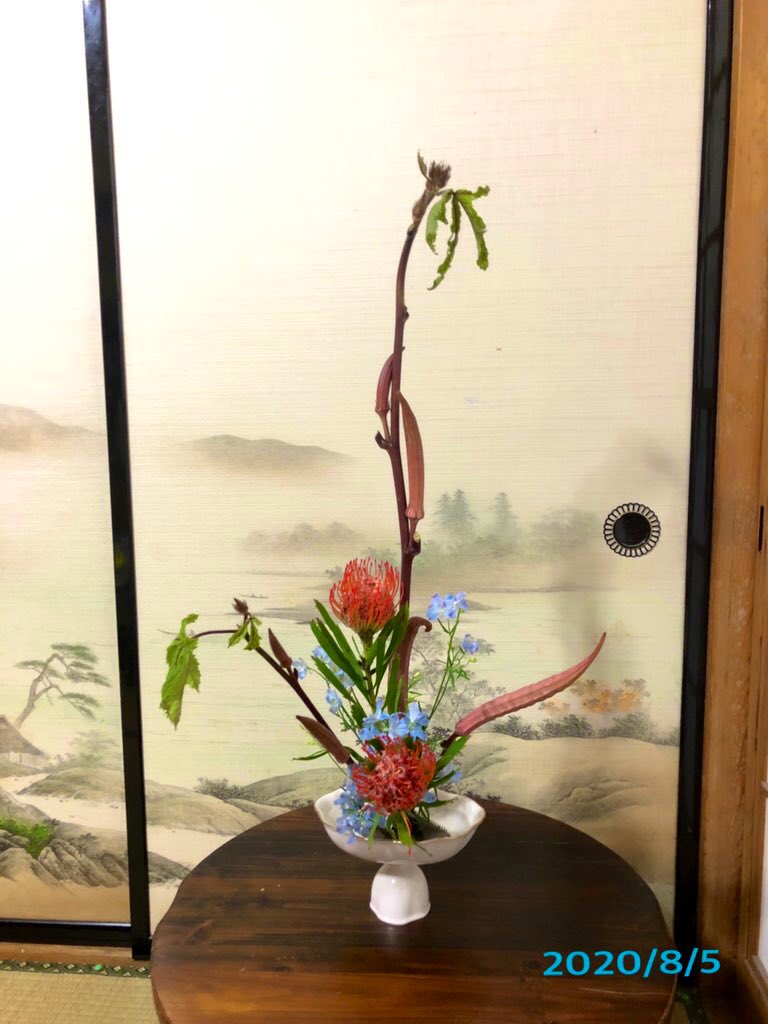 Kyo Run 生徒さんの稽古花 オクラ ピンクッション デルフィニウム マリンブルー オクラの実がずっしり大きく かなり実を少なくしましたが 重みがありました お花屋さんお薦めのデルフィニウムが入って爽やかに たてるかたち 小原流 生け花 夏の