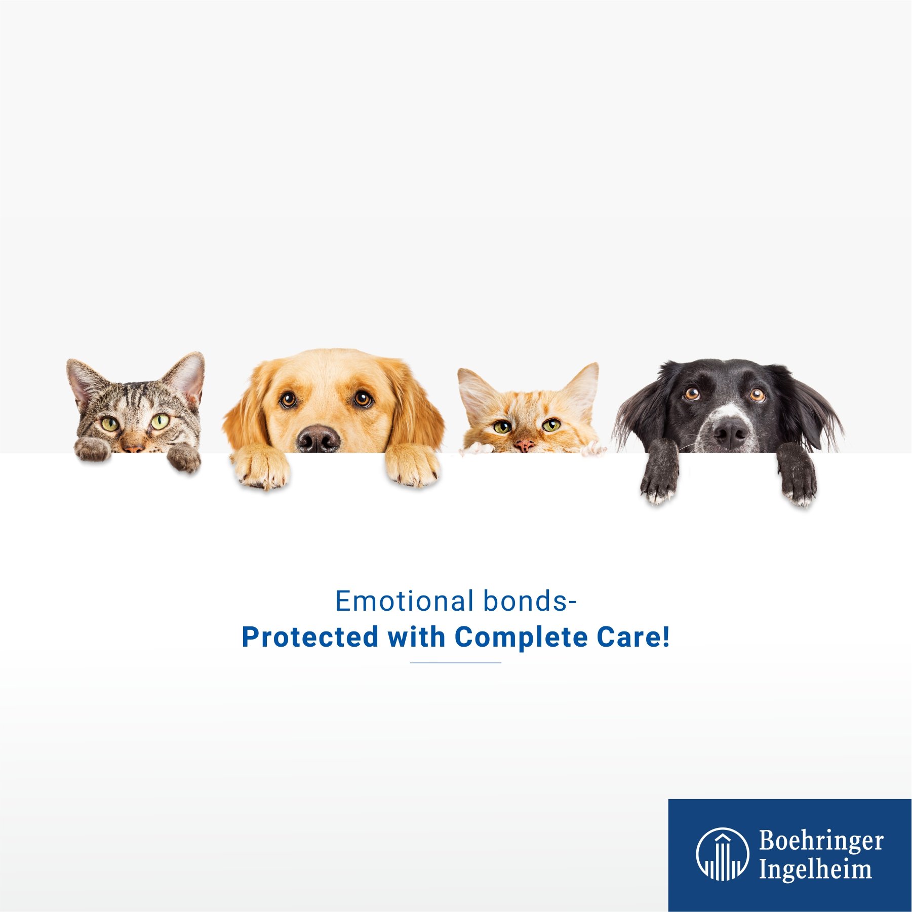 Boehringer Ingelheim India on Twitter: Boehringer Ingelheim India on Twitter: