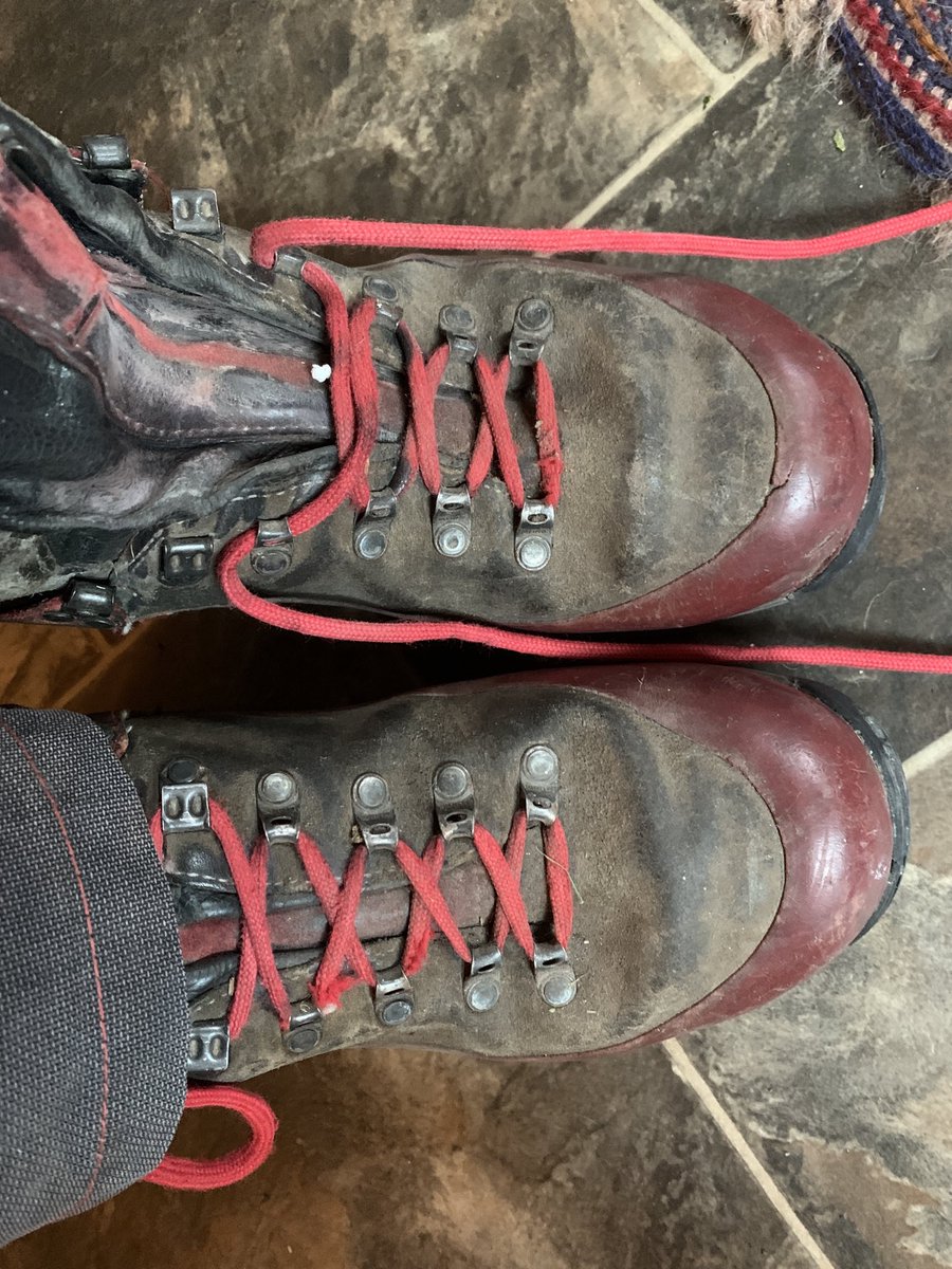 alanstourhead's tweet photo. For over 24 years I have been caring for the trees here ⁦@ntstourhead⁩ - today is the last time I will tie up my chainsaw boots to do some essential care on the collection. Not long now ⁦@derreen2⁩ @VisitWiltshire⁩ ⁦@BBCWiltshire⁩ ⁦@norrislou⁩ https://t.co/ll0E8TU6lN