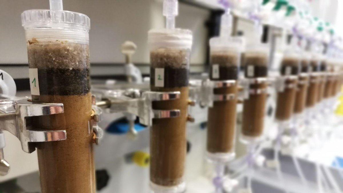 MSchiedung's tweet photo. I'm happy that our manuscript "Vertical mobility of pyrogenic organic matter in soils: A column experiment" is open for discussion now in BG: https://t.co/g3PWOKvyxV
@SoilPlantC_SAb @SeverinBelle @PyC_Gabriel @EGU_BioGeo @snf_ch
#firecarbon #pyrogeniccarbon #soilcarbon https://t.co/zpdrQn2CAN