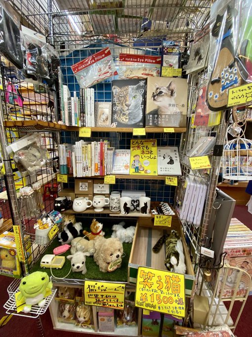 ヴィレッジヴァンガード西葛西 さん の最近のツイート 12 Whotwi グラフィカルtwitter分析