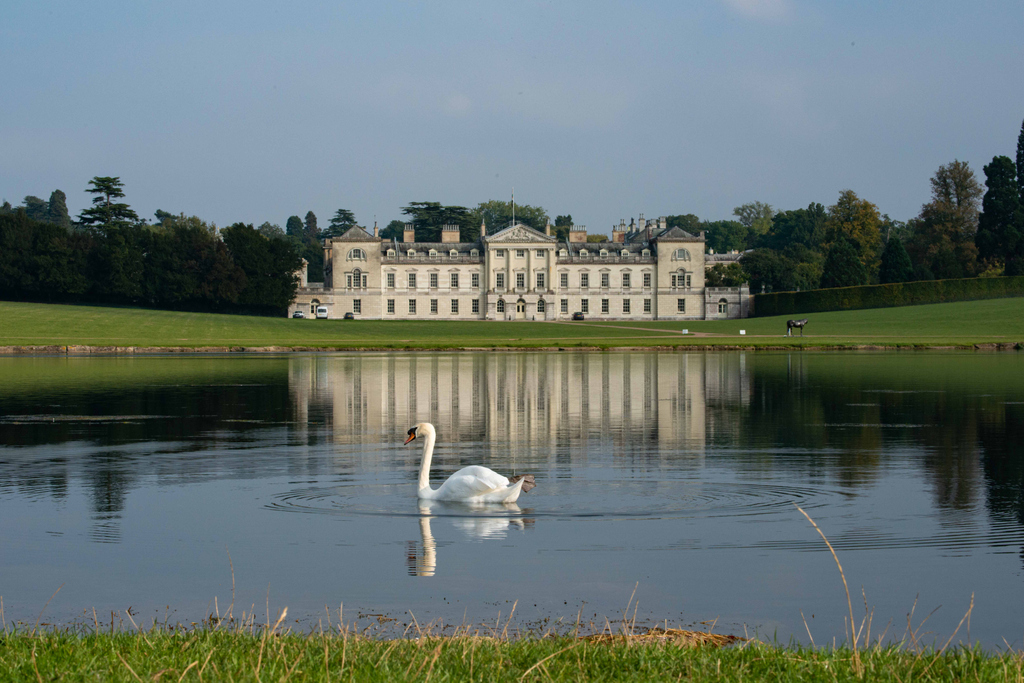 Don't you love it when a swan  turns up at just the perfect moment. This is a shot of of one of my 'dream' venues where I'd love to film a wedding....
@Woburn_Abbey 
#woburnabbeyandgardens #manorhousewedding 
artoflifefilms.com
