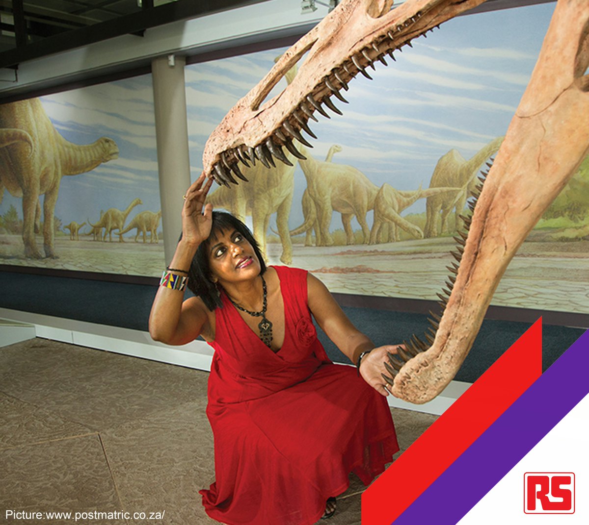 RSOnlineSA's tweet photo. We are celebrating inspiring women this month. Today we celebrate @palaeo_prof - a palaeobiologist at UCT.
Find out more on this inspiring woman here: https://t.co/P9jvTGzTbH
@UCT_news @BioSciUCT
#Paleobiology
#rscomponentssa
#womensmonth
#womensday
#proudlysouthafrican https://t.co/fYlGigf4wa