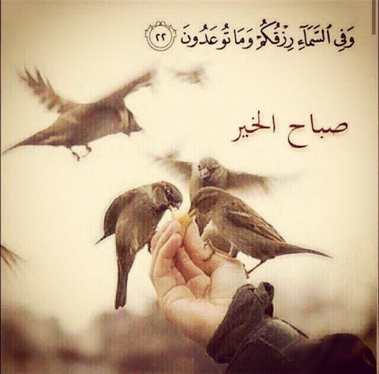 الخلود السرمدي tweet media