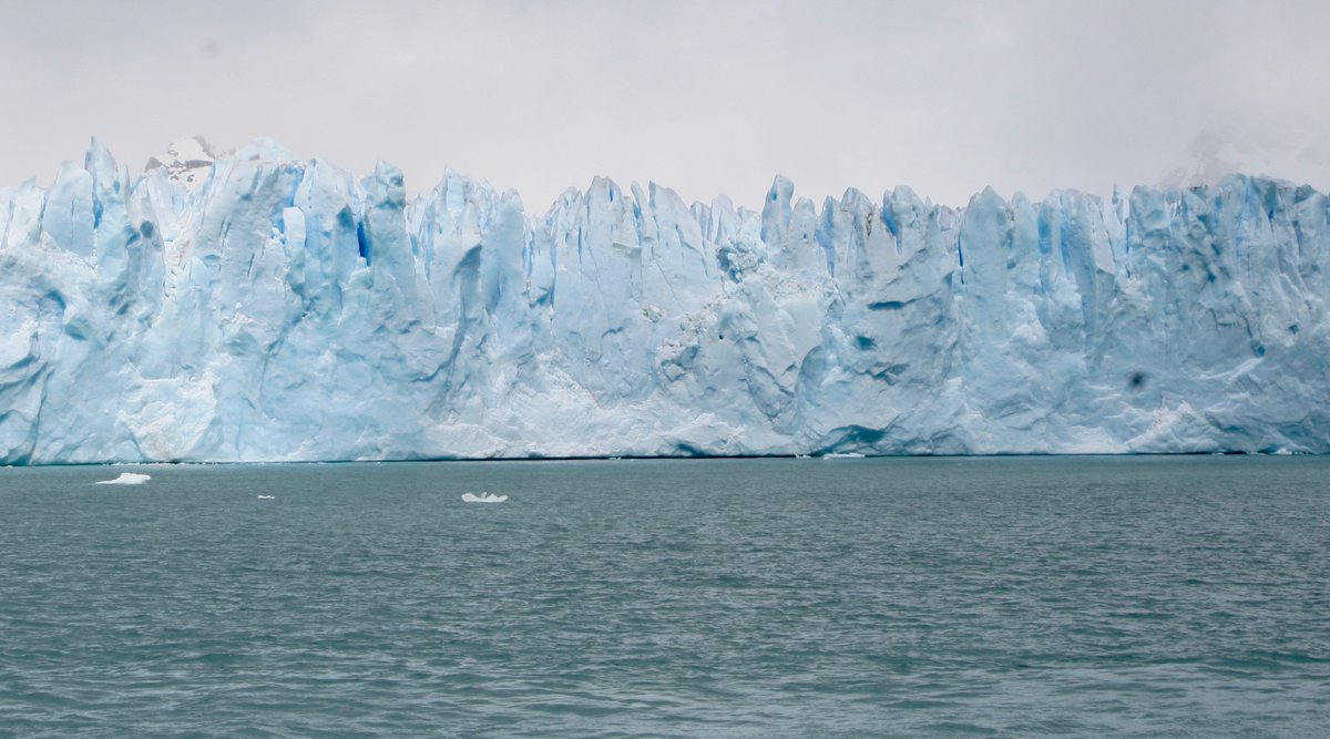 Frederic Di Monte tweet media