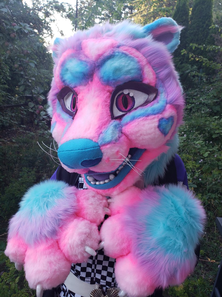 vilesuits's tweet photo. Fursuit partial for sale! Head, tail, paws. 
DM for details $700

#fursuit #fursuitmaker #fursuitforsale #furry #fursuitpartial #cutefurry #fursona #tigerfursona #tigerfurry #fursuithead #fursuitpaws #fursuittail #fursuits https://t.co/B8iWRX5EtB