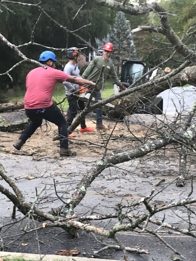 ACTreeExpertsI1's tweet photo. Kudos to our dedicated team who works even on a bad weather 👏💪👷‍🌳 
#ACtreeexperts #treeremoval #treeservice #treecare #treepruning #treeshaping #snowremoval #stumpremoval #guttercleanup #emergencytreeremoval #247treeremoval #arborist #insuredandbonded #GlenmoorePA https://t.co/YO9rw291Wu