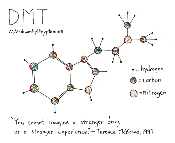 First, some background on the science:  #DMT has been detected in mammalian tissues before. Usually this has been outside the brain, in very small amounts, making it questionable whether it's physiologically relevant or just a metabolic byproduct.3/