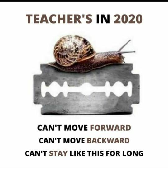 binod_sharma95's tweet photo. @HemantSorenJMM Please, think about it sir‼️ https://t.co/ImiLuCaVlc