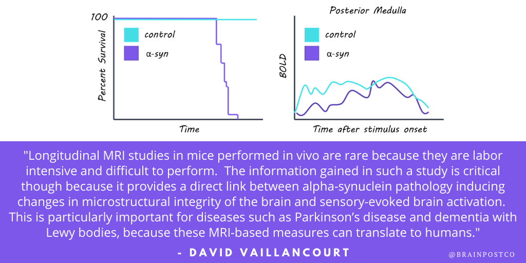 Alpha-Synuclein Induces Brain Changes that Precede Locomotor Deficits

New this week in <a href="/SfNtweets/">Society for Neuroscience (SfN)</a> <a href="/SfNtweets/">Society for Neuroscience (SfN)</a> by <a href="/winstontchu/">Winston Chu</a> and colleagues

<a href="/brainpostco/">BrainPost</a>'s scientific summary by <a href="/McFarlanAmanda/">Amanda McFarlan</a>:
brainpost.co/weekly-brainpo…