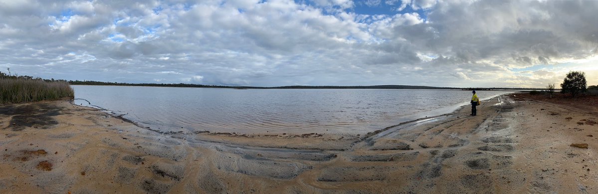 Science_DBCA's tweet photo. DBCA scientist Jasmine Rutherford spent last week investigating drying peat wetlands in the Muir-Byenup RAMSAR wetland site. 🌾
This @SWCCNRM funded project is examining climate change impacts on fossil soil systems to assess threats of acidification and fire. #scienceourWA https://t.co/5XPVJJGGqS