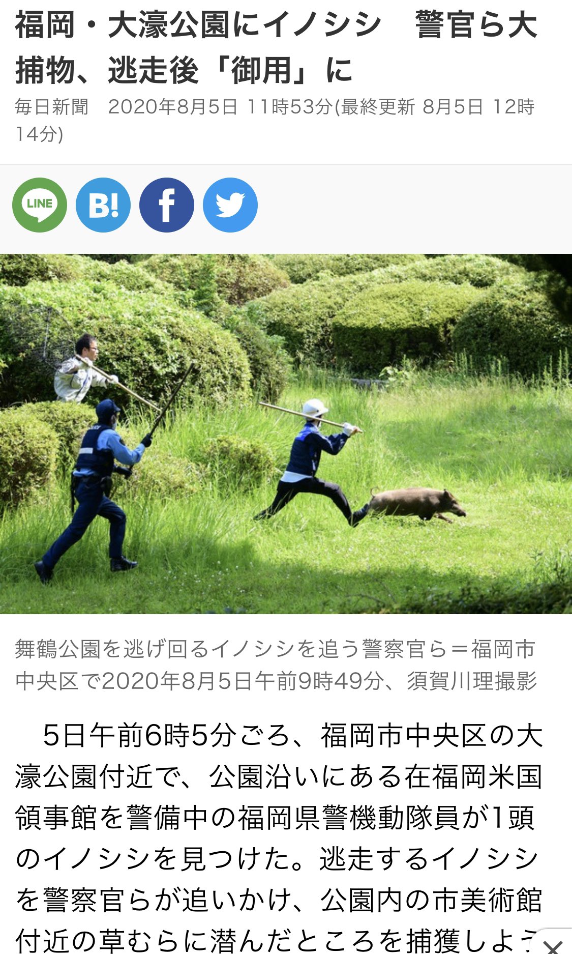 写真が良すぎて中身が入ってこない イノシシが出て警察官が追いかけるニュース 話題の画像プラス