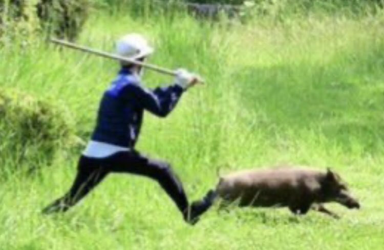 ケリー 福岡市の大濠公園でイノシシ追いかけるの何か楽しそう T Co Dh0vda3wge Twitter