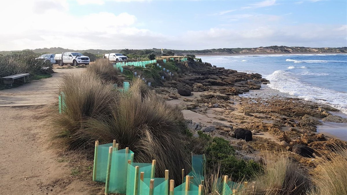 We're urging beachgoers to please respect the cultural heritage assets and flora and fauna living in the dune system at Point Impossible. Find out more: bit.ly/3gw4jiy
#loveourcoast