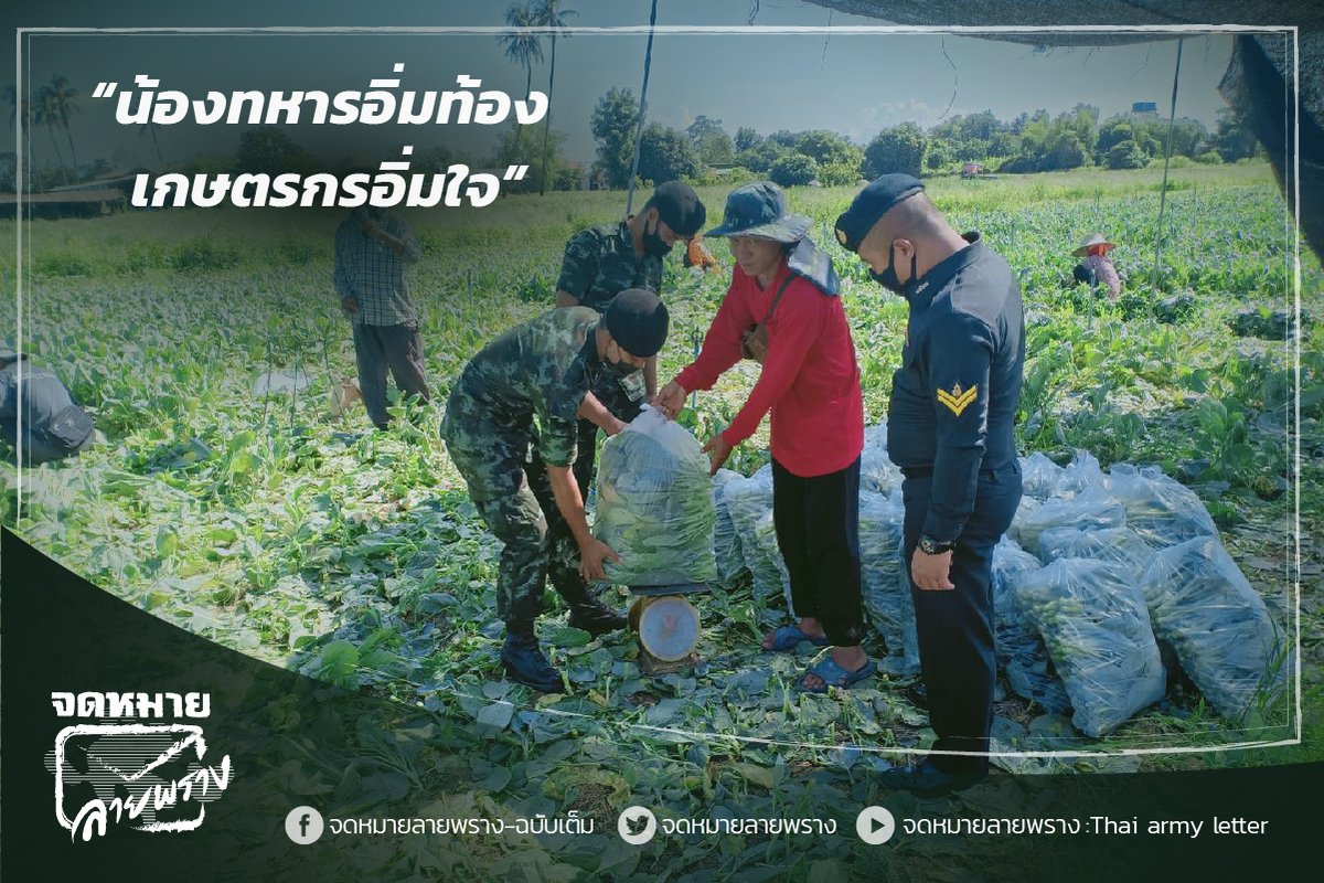 thaiarmyletter's tweet photo. ร้อย.บก.บชร.3 เข้ารับซื้อผลผลิตทางการเกษตรเพื่อช่วยเหลือประชาชนที่ได้รับผลกระทบจากการแพร่ระบาดของโรคติดเชื้อไวรัส COVID - 19  หมู่ที่ 4 ต.บึงพระ อ.เมืองพิษณุโลก จ.พิษณุโลก

#จดหมายลายพราง #thaiarmyletter https://t.co/iLG0bJ8SiW