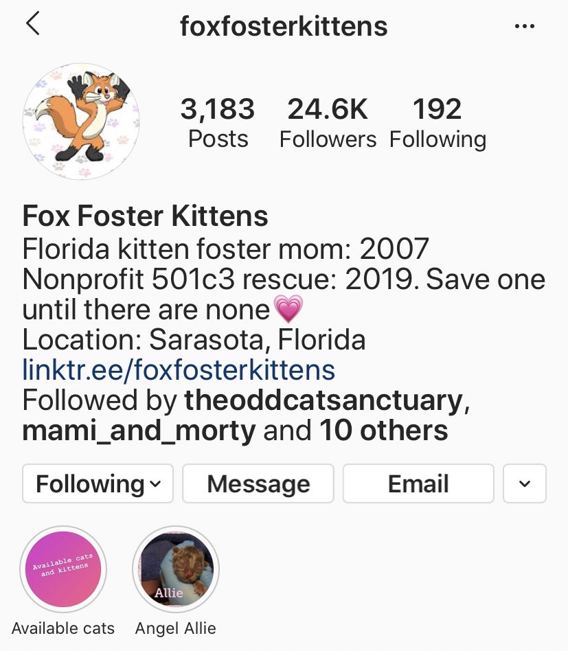 DONATIONS NEEDED: i follow a wonderful non profit on IG called foxfosterkittens. recently, one of their board members froze their bank account and essentially stole the funds. they need donations to continue helping sick cats. even $1 helps save lives. paypal.com/paypalme/foxfo…