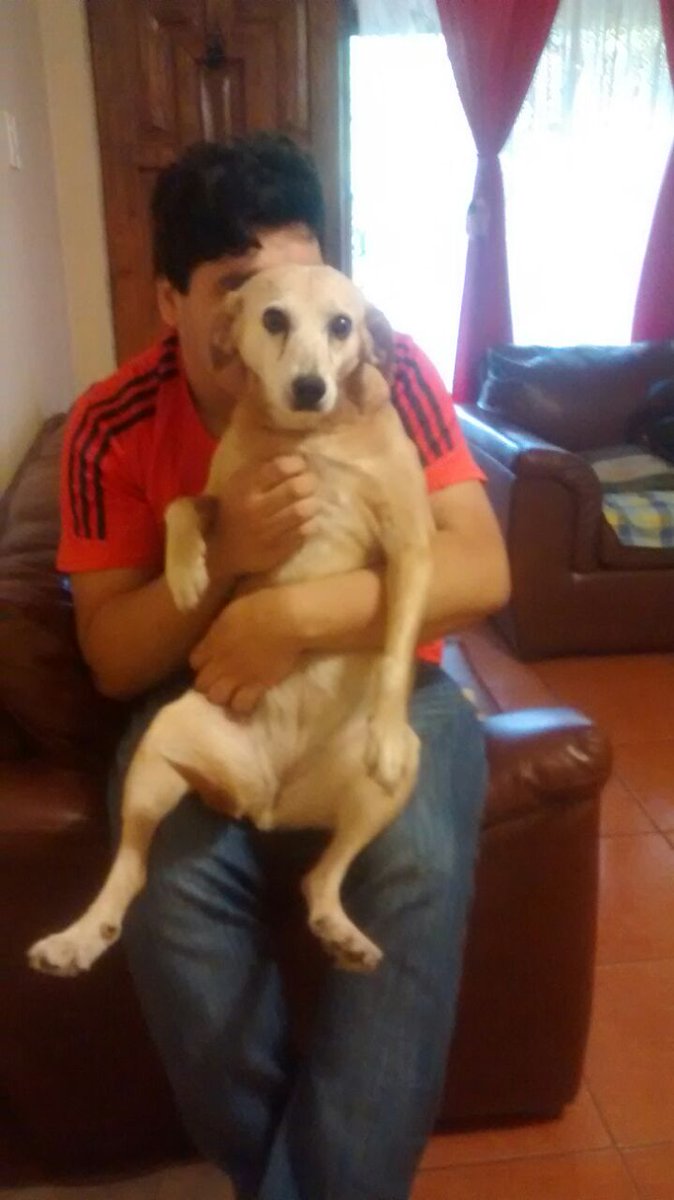 HugoHshv's tweet photo. Descansa vieja compañera
Agradezco los 20 años de tu fiel compañía.
               PELUSA
Fuiste un miembro más de la familia y el dolor que se siente en este momento es tremendo.
Nunca te olvidaremos  y serás un vacío que costará llenar, mi conformidad es que ahora descansas. https://t.co/s0TEY5eams