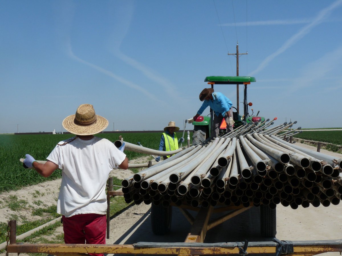 Learn more about the #Farmworker Pandemic Safety Campaign that was just launched to help ensure safety of essential workers. buff.ly/2XgAew2 #Covid19 #essentialworkers #safetyag