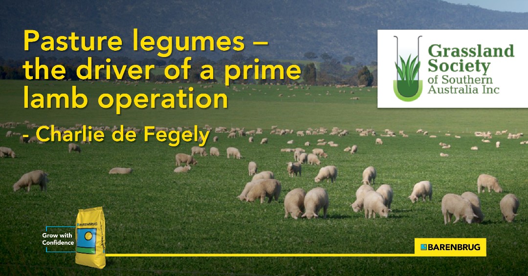 Grassland Society tweet media