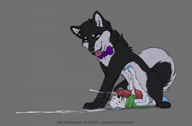 BreederUltimate's tweet photo. "Let's see who earns this husky's knot~" https://t.co/LDbfcwBz8g