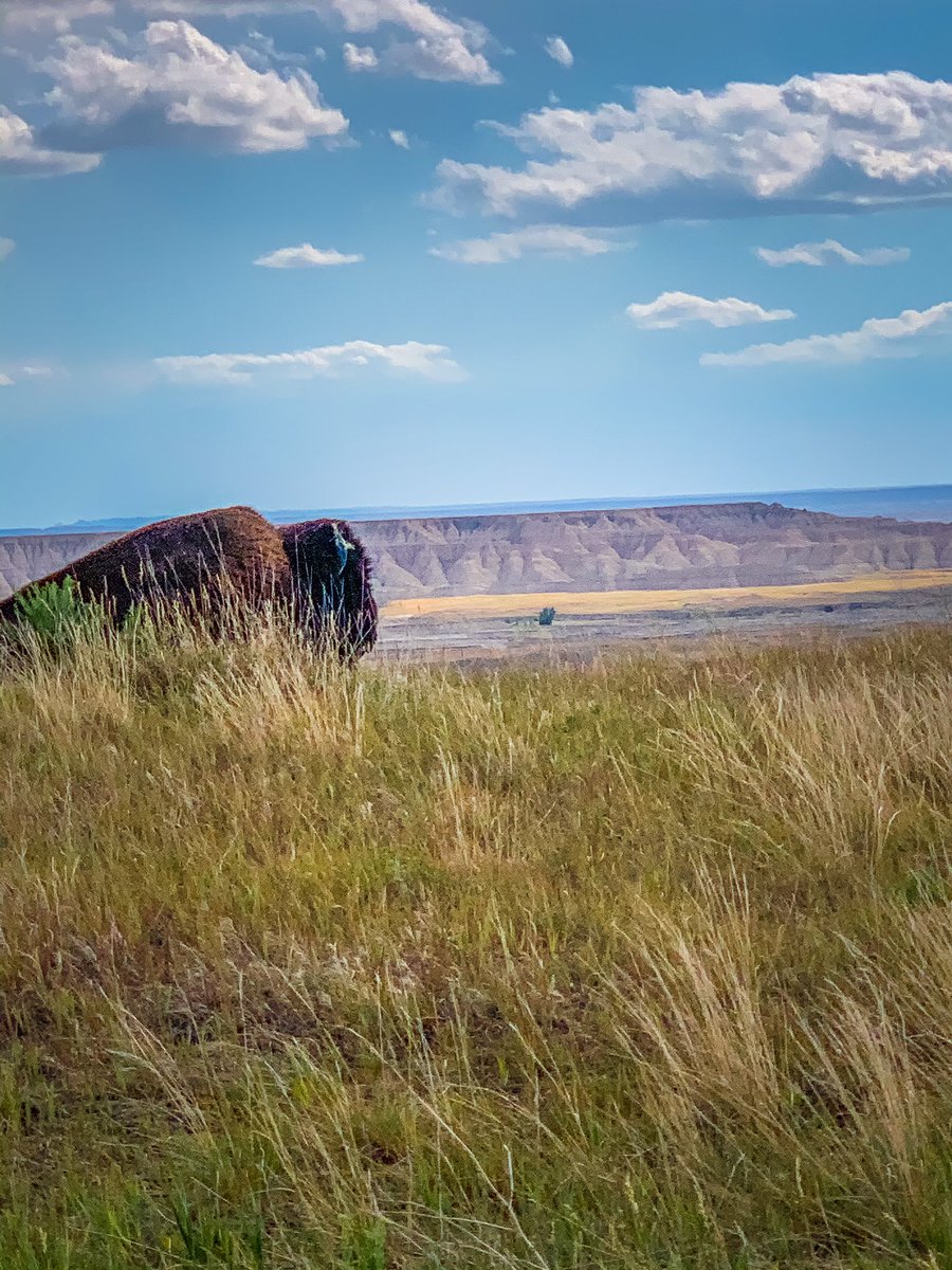 LizOverholt's tweet photo. Already dreaming of my next adventure ✈️ SoDak did me well 🖤 #Badlands https://t.co/DymjweYM1H