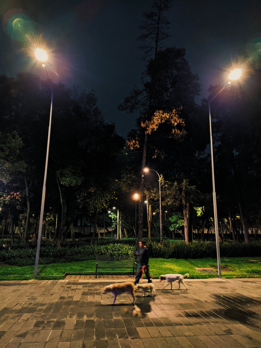 El #ModoNocturno de la GCam está bien chingon.

Fotos con #Xiaomi #RedmiNote7