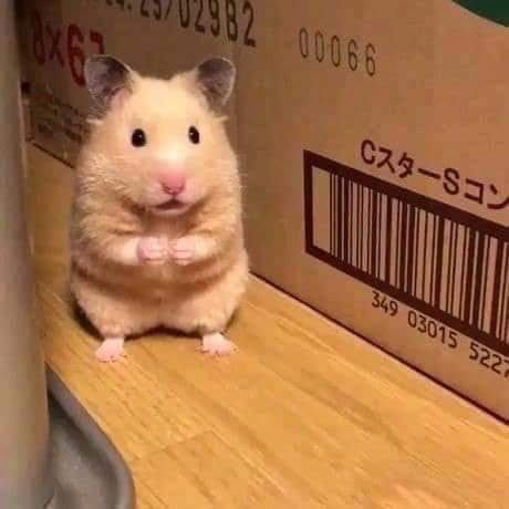 𝐊𝐘𝐋𝐄 𝐉𝐎𝐇𝐍𝐒𝐎𝐍. (@survivorxsborn) on Twitter photo 