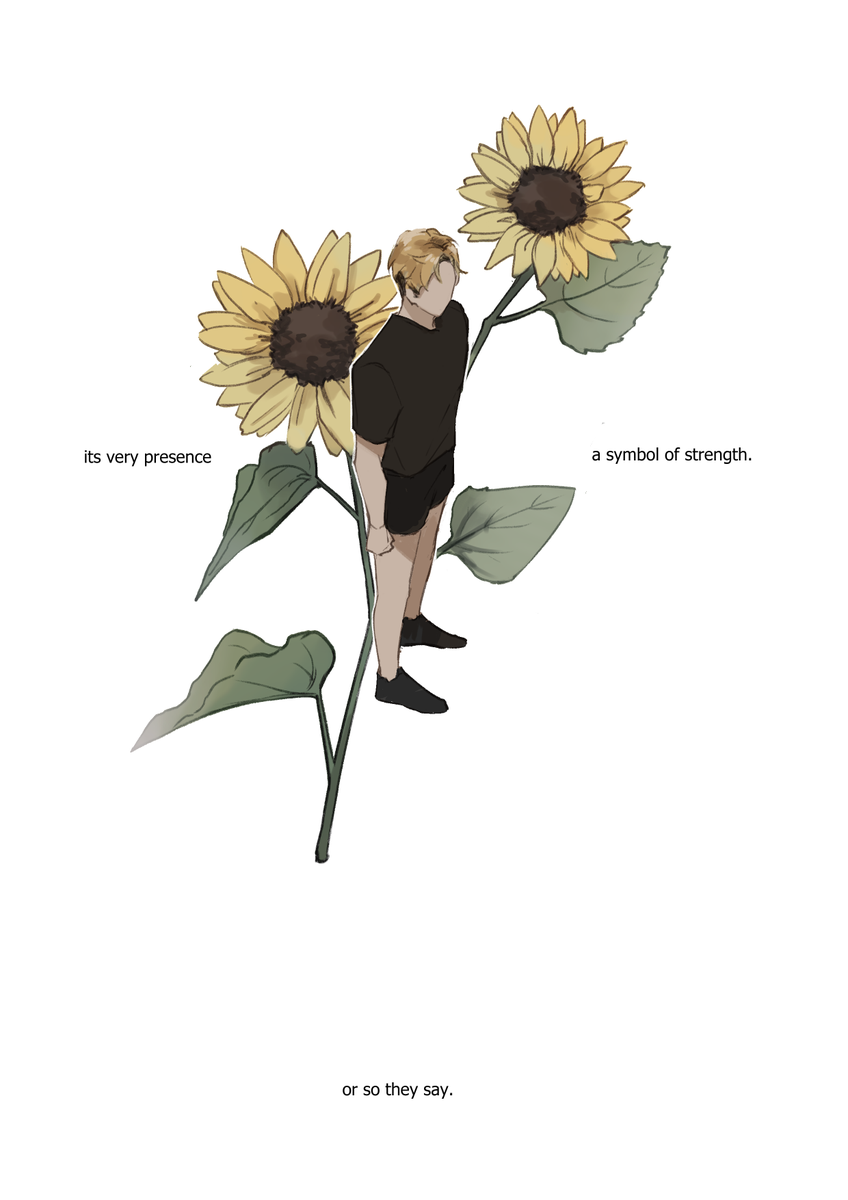 the sunflower.
#atsuhina 