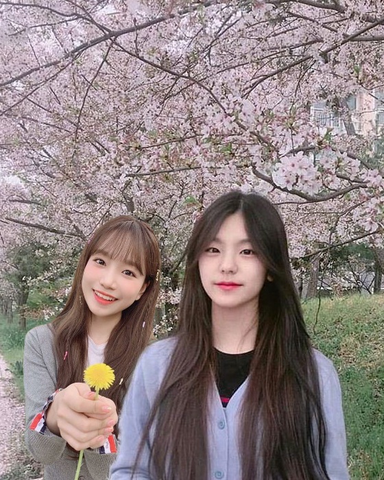 ◦•✿ buna aya ᵃˡᵗʰᵉⁱʳᵃ tweet media