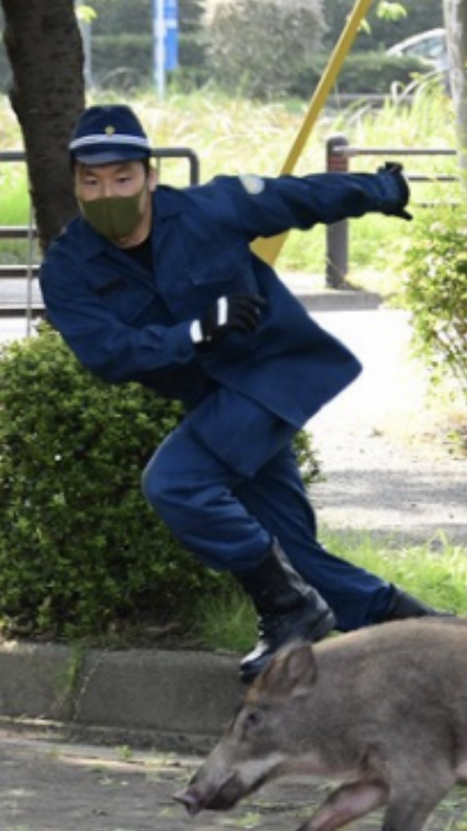 ট ইট র とま 躍動感ある 福岡 大濠公園にイノシシ 警官ら大捕物 逃走後 御用 に 毎日新聞 T Co Lbglfobtfw ট ইট র とま 躍動感ある 福岡 大濠公園にイノシシ 警官ら大捕物 逃走後 御用 に 毎日新聞 T Co Lbglfobtfw