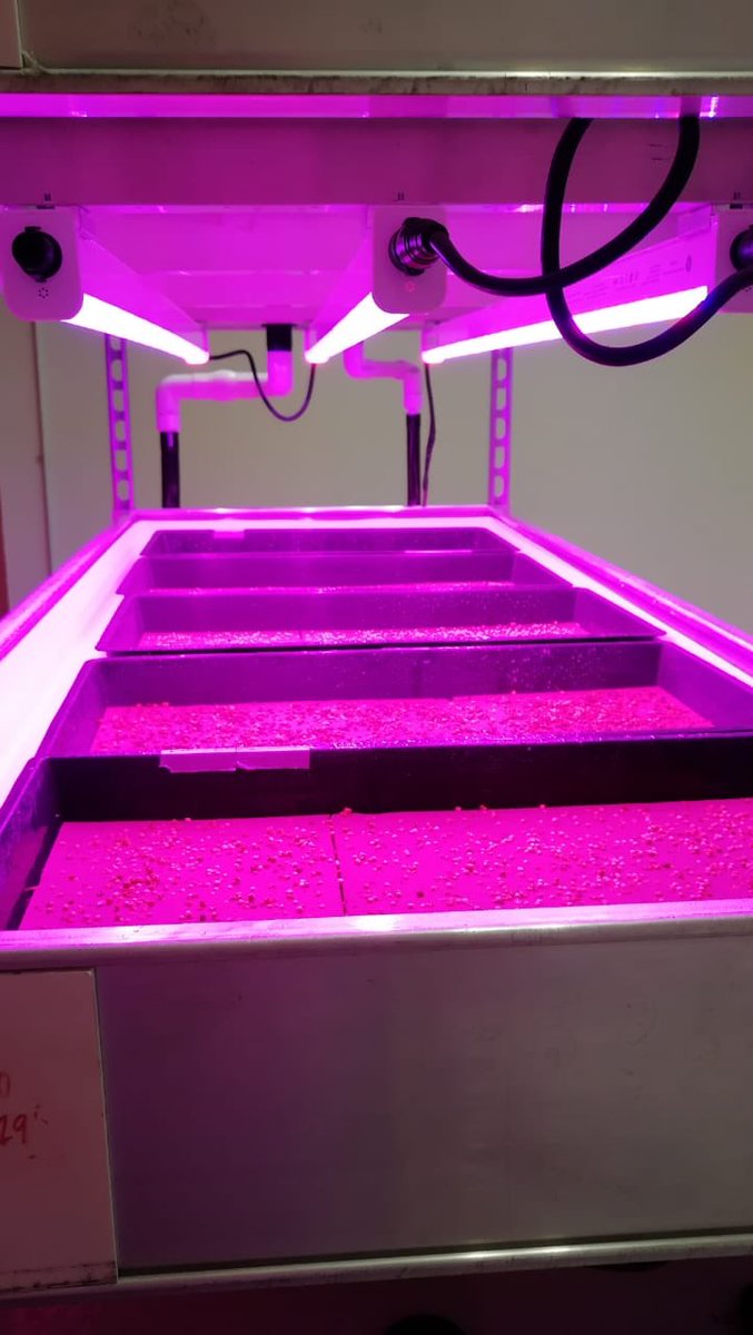 ManuelClaros's tweet photo. Watch the story of .@KarmaVerdeFresh and its innovative approach to food insecurity in Mexico using vertical agriculture  https://t.co/wkChtUBIfB .@uanl 📸@KarmaVerdeFresh https://t.co/hCczV54UWA