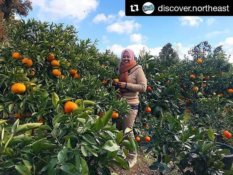 Snuggled deep within the hills,  #Dambuk is known to produce some of the best oranges in the country. It is also known for hosting India’s 1st fest that combines adventure sports and music gigs on one platform known as The Orange Festival of Adventure & Music-  @OFAM_Dambuk (1/4)