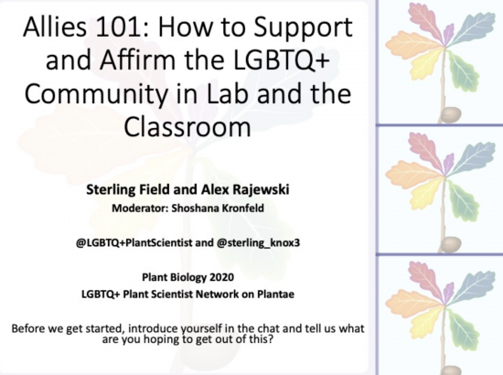 plantae_org's tweet image. Did you miss some of the #PlantBio20 workshops? No worries! @YTingKao has provided a summary of two of them. 
Listen and learn - Workshop recaps from Allies 101: LGBTQ+ and Inclusive pedagogy at Plant Biology Worldwide Summit
community.plantae.org/article/558238…