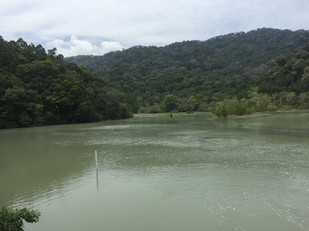 Almost three years done in Malaysia and my first jungle trek.... Didn’t quite go according to plan....lots and lots of walking for some reason.... Hmmm <a href="/Callie_Essop/">Callie Essop</a>