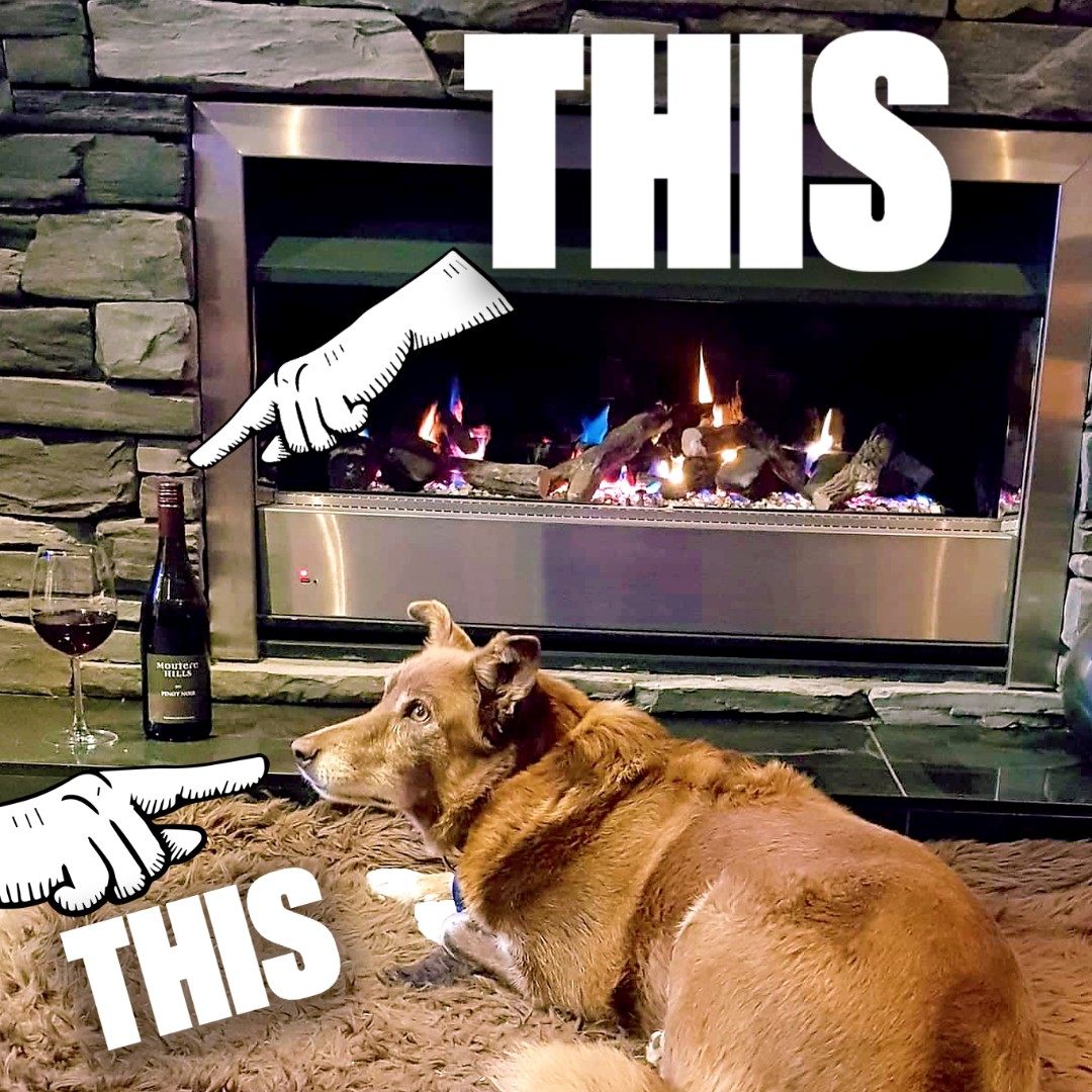 Wine Nelson tweet media