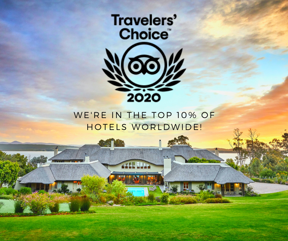 thethatchhouse's tweet photo. We're in the top 10% of hotels worldwide!
The Thatch House Hermanus is one of Trip Advisors Travelers' Choice 2020 winners!

https://t.co/7d7B9Wehf1 https://t.co/xpHTME9i13