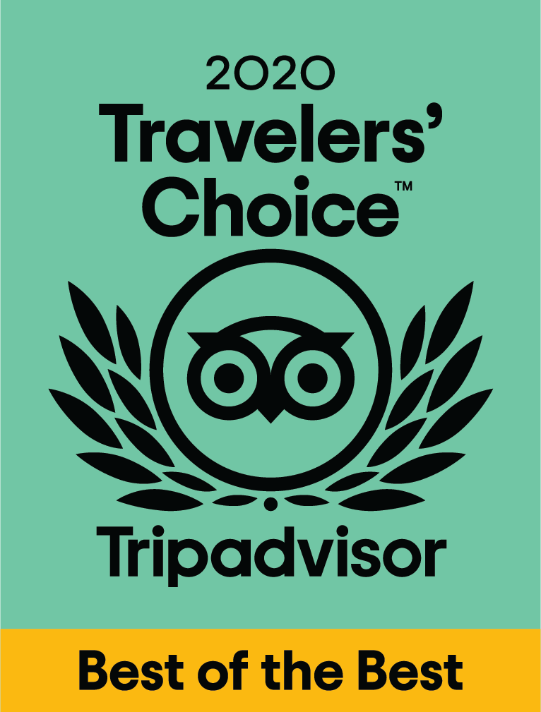 thethatchhouse's tweet photo. We're in the top 10% of hotels worldwide!
The Thatch House Hermanus is one of Trip Advisors Travelers' Choice 2020 winners!

https://t.co/7d7B9Wehf1 https://t.co/xpHTME9i13