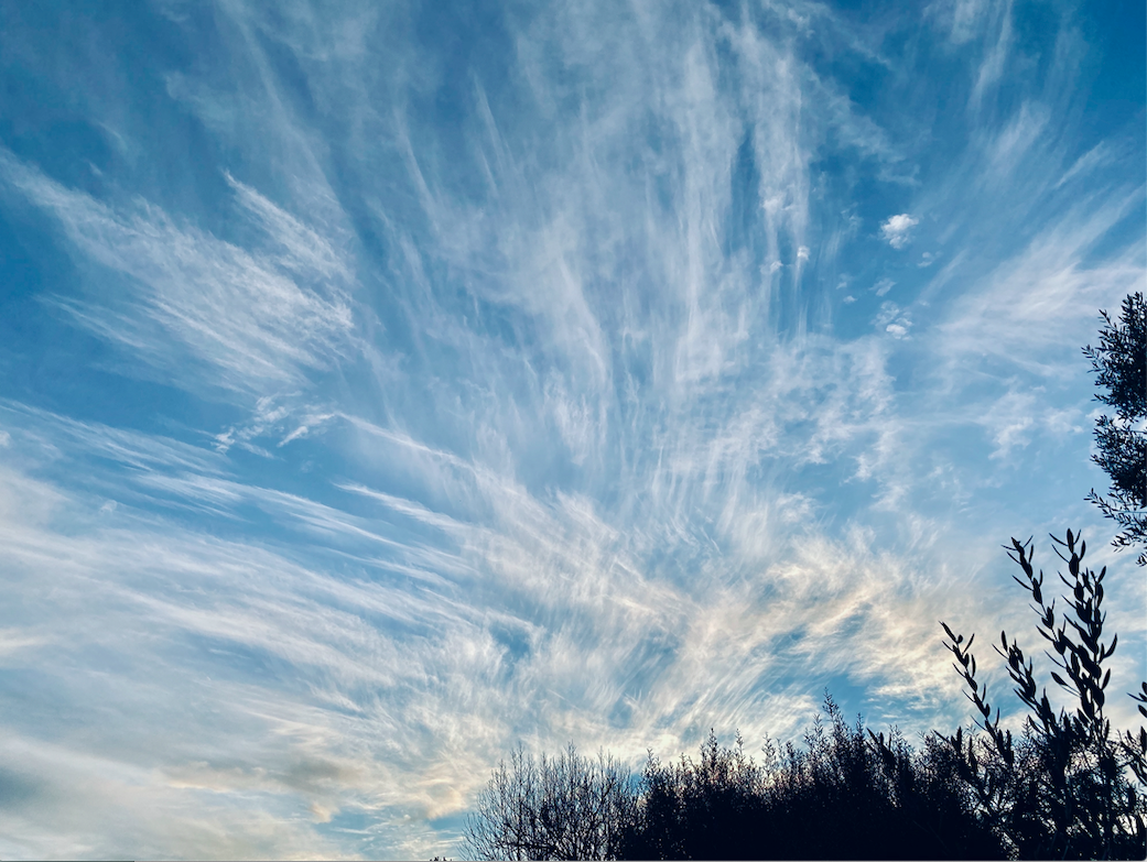 WeatherWatchNZ's tweet photo. Now *that* is an #Auckland sunset! 🌇 #NewZealand 🇳🇿

#CirrusCloud 

https://t.co/Pm2OWgtJRf 💙
https://t.co/eveWdQiaoB 💚 https://t.co/y3Kha4IIxT