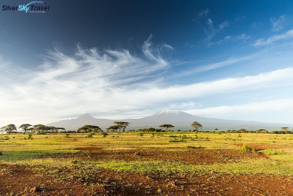 SilverSkySafari's tweet photo. Come explore the land of Tanzania with our Classic Safari Tour. Visit https://t.co/OTqOvF6vej

#visitAfrica #Africalove
#Africaparks #Africaphotographer
#Africantourism #Africanfasion
#Africatravel
#Africaunforgettable
#Africasafari    
#visittanzania #tanzaniatravel https://t.co/Tu2MeM3BHd