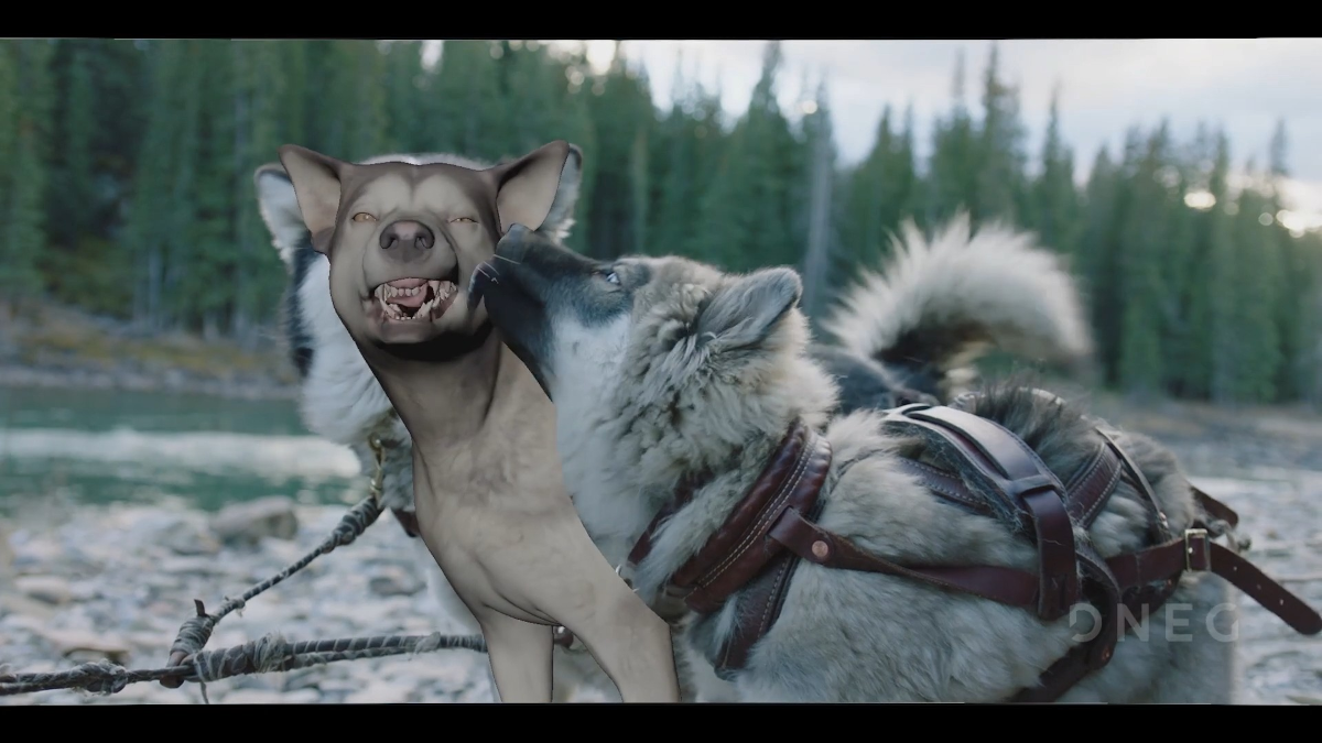 theCGchannel's tweet photo. See @DNEG discuss the challenges of creating photorealistic hero animations of dogs in its narrated #VFXbreakdown of Disney+'s Togo, from fur and fat #simulation to FACS facial coding https://t.co/1SC5KHXykX
#VFX #animation #characterrrigging https://t.co/KVTCdc3hHL