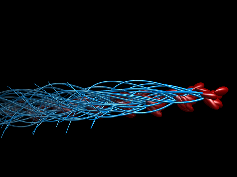 CaraSantaMaria's tweet photo. 3D microscopy study shows how human sperm really swim. ๐โโ๏ธ
#NewResearch #Sperm #Swimmers #3DTechnology #ReproductionScience
https://t.co/93oaZZXjos https://t.co/1kQ67DjOk6