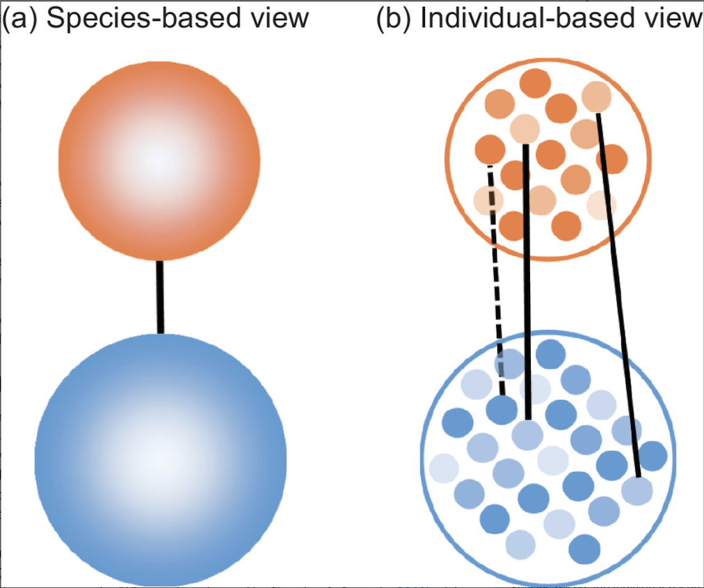 EcologicalRes's tweet image. Species interaction: Revisiting its terminology and concept
by Takefumi Nakazawa @TheorEcoLab #openaccess

esj-journals.onlinelibrary.wiley.com/doi/10.1111/14…
#biophilosophy #speciesinteractions