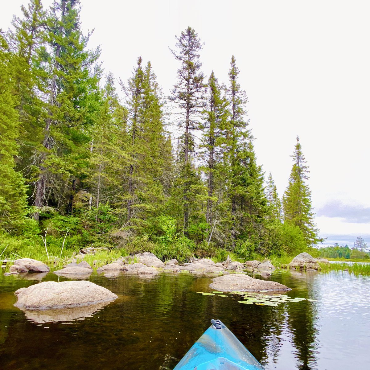 marykkeown's tweet photo. Is #HessLake near #CartierOntario ever gorgeous. So much #GlacialErrata along the #shoreline - boulders and #FallenLogs... #ImpenetrableForests ring the #lake and create a silent feast, except for the thousands of #birds #chirping and #singing happily. #KoralTheKayak #kayaking https://t.co/JtkCxJeuPg