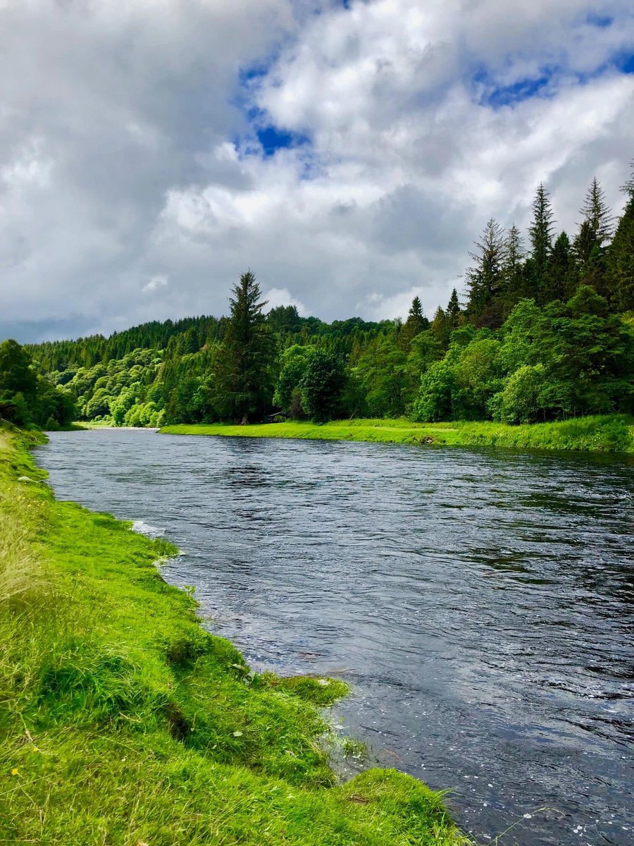 Scottish Salmon Fishing Podcast tweet media