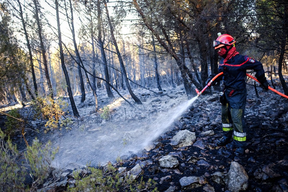 Pompiers_13's tweet photo. 🔴🔴[#FeuDeMartigues]
Après une nuit d'enfer, 1800 #Pompiers au total sont à pied d'oeuvre afin de lutter contre un #incendie virulent.
▶️ 1025 hectares parcourus 
▶️ 2700 personnes évacuées 
▶️ aucun blessé parmi la population
▶️ moyens aériens à nouveau actifs
⚠️ Vigilance ! https://t.co/7PUVMMXAsA
