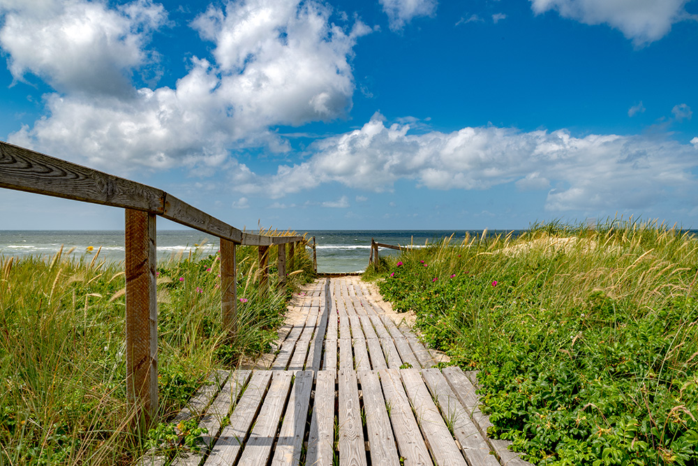 bilderwerkhh's tweet photo. Alle Wege führen zum Meer ...
Die neuen Sylter Momente beim bilderwerk Hamburg als Fotokunst für Wandbilder:
https://t.co/ahlMjcG6y4
@shz_de @SHurlaub #sylt #nordsee #meer #strand #strandbilder #küste #landschaftsbilder #unsernorden #fotokunst #schleswig_holstein #Inselsylt https://t.co/1LmzL1e1Sg
