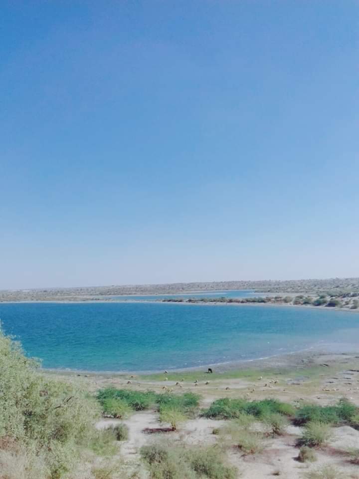 HullioSikandar's tweet photo. This #Kalankar lake is one of best kept secrets of #Sindh. Located in the heart of #WhiteDesert, it connects both #Sanghar and #Umerkot districts. Its blue waters more wave when it heavily rains during monsoon over this sandy desert and adjoining areas. Try visiting, if possible. https://t.co/PCQAu6DiwT