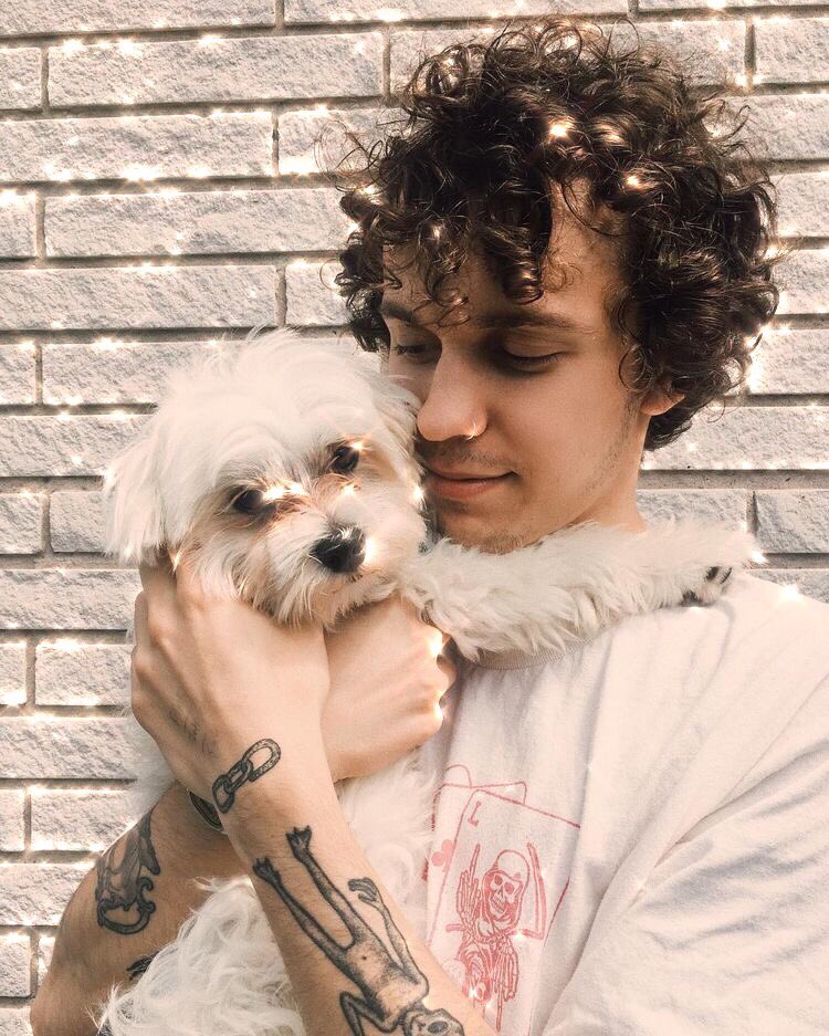 ✨