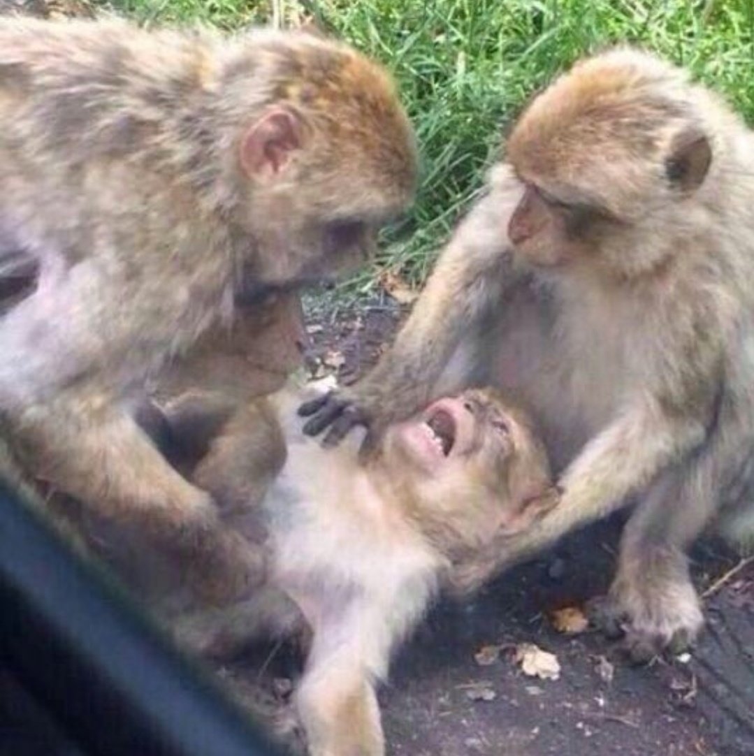 KaBongza's tweet photo. University management looking at the students dying on their arms because of the Money that the University is denying to release as it belongs to them (Students) however students are surely disappointed by the misconduct of the university management 😥😞
#univenmustfall https://t.co/h21kOxsjLT